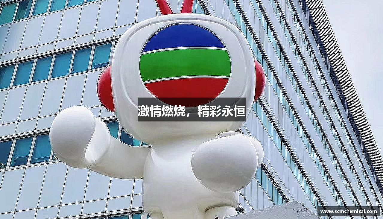 激情燃烧，精彩永恒